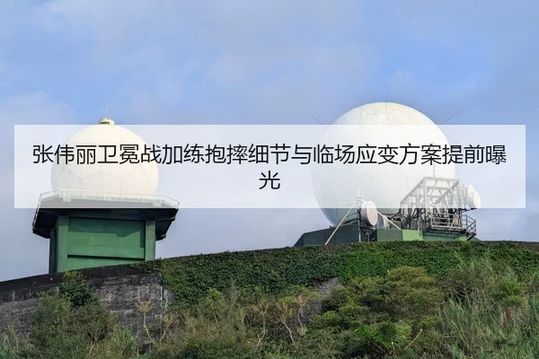 张伟丽卫冕战加练抱摔细节与临场应变方案提前曝光（BAJIESPORTS）