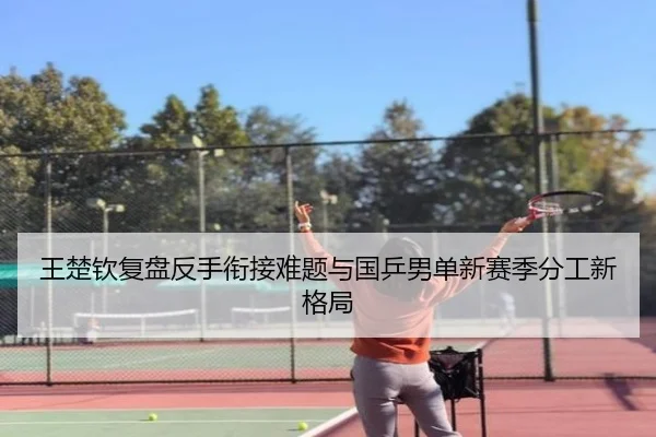 王楚钦复盘反手衔接难题与国乒男单新赛季分工新格局（BAJIESPORTS）